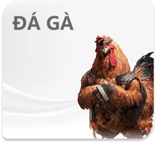 cockfight-bannerad4